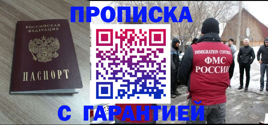 прописка 2025 в Оленегорске